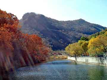 正版澳门天天开彩大全，布鸟里 杜甫